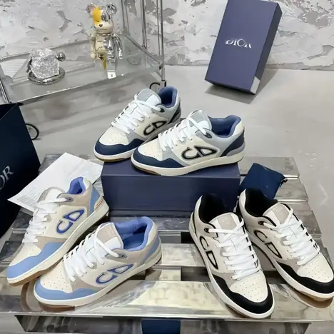 Dior B22
