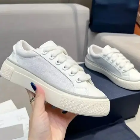 Dior B22