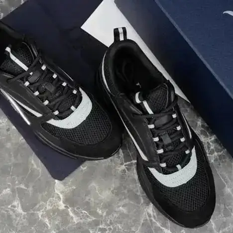 Zapatillas Dior B22