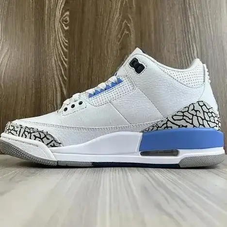 Air Jordan 3 (12 colores)