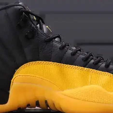 Jordan 12