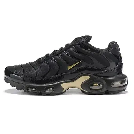 Nike Air Cushion