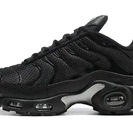 Nike Air Max Plus (19 colores)